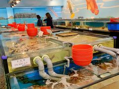 -海九澎湖海鲜餐厅