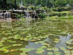 -东莞植物园