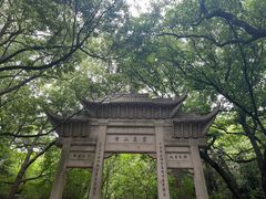 -灵岩山风景区