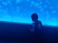 -多彩贵州城极地海洋世界