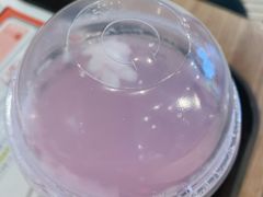 樱之语特饮-肯德基(友好店)
