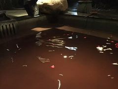 -天目湖御水温泉·度假酒店