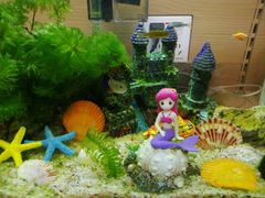 -大润发(姑嫂树店)