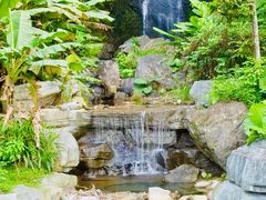 -梧桐山风景名胜区