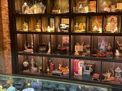 -雪灵魔法世界SHELLY’S TAROT(大良桂畔里店)