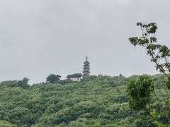 -苏州上方山国家森林公园