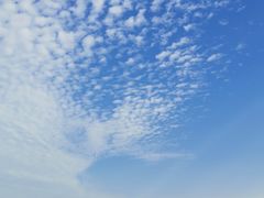 -广州粤海喜来登酒店