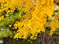 -北京动物园-畅观楼