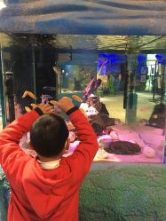 -酷嗒动物文化乐园(cutezoo西溪乐天城店)