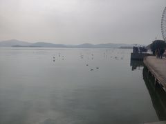 -蠡湖大桥公园