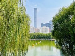 -团结湖公园
