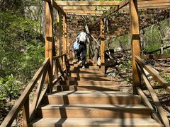 -大岭沟猕猴桃谷风景区