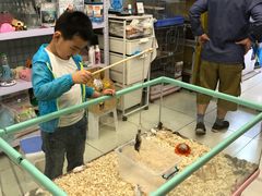 -钓仓鼠(洋桥北里小区店)