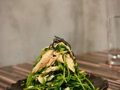 豆苗鸡胸肉-BomBa意大利餐厅