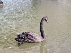 -天津东丽湖风景区