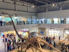 -自贡恐龙博物馆