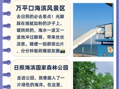 -日照海滨国家森林公园