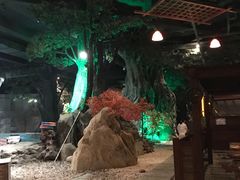 -顺景温泉