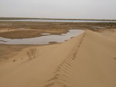 -亿利库布其七星湖沙漠生态旅游区