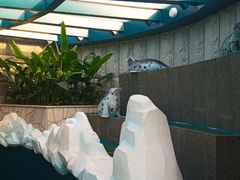 -青岛海底世界-水族馆