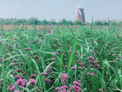 -漩门湾国家湿地公园