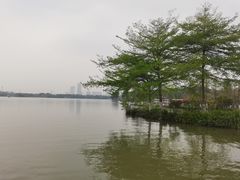 -海珠湖公园