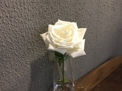 -1861意大利餐厅(文化广场店)