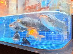 -许爷家·生态湖鲜(徐汇日月光店)