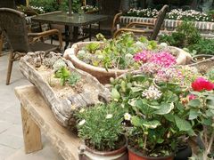 -瓦库茶馆17号(海汇港店)