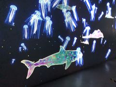 -暹罗海洋世界