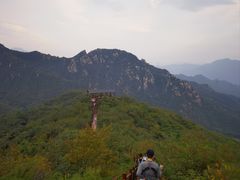 -大岭沟猕猴桃谷风景区