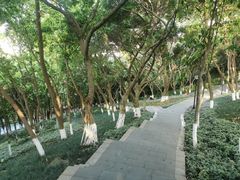 -龙头寺公园