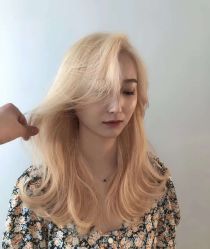 -爱维丽