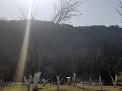 -棒棰岛宾馆景区