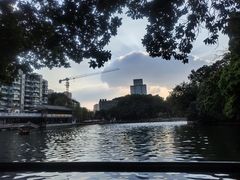 -荔湾湖公园