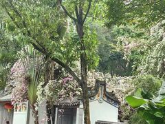 -深圳国际园林花卉博览园