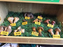 -菌海森林·非遗野生菌火锅(西山区滇池路摩根道店)