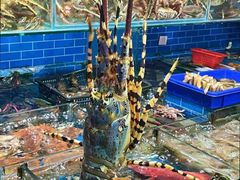 -船奇蒸汽海鲜·闽菜(八市海鲜总店)