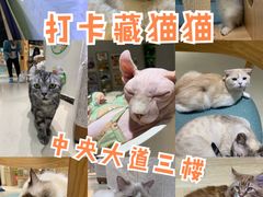 -藏猫猫咖啡主题馆(中央大道店)