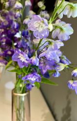 -花隐·美芙炫海菲秀皮肤管理中心