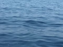 -东姑阿都拉曼海洋公园