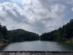 -四明山国家森林公园