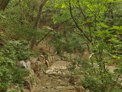 -大连植物园