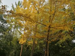 -西安汉城湖景区