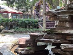 -二荆条·蜀鲜汇城市森林火锅