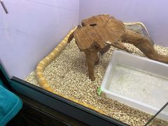 -昆明大悦城未来动物城(螺蛳湾中心店)
