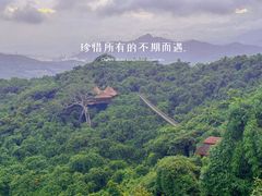 -三亚亚龙湾人间天堂鸟巢度假村