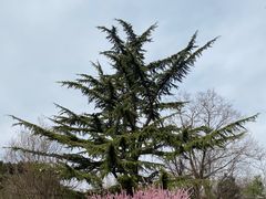 -国家植物园南园