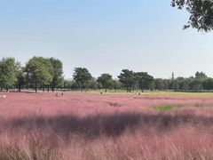 -汉长安城未央宫国家考古遗址公园