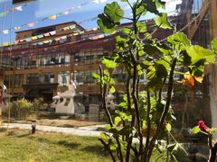 -思金拉措庄园藏餐(太阳岛店)